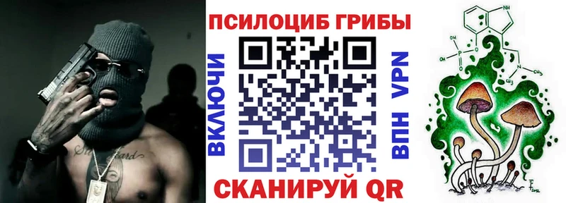 Псилоцибиновые грибы мицелий  сколько стоит  Михайлов 