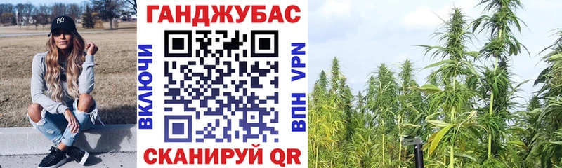 Каннабис планчик  Михайлов 